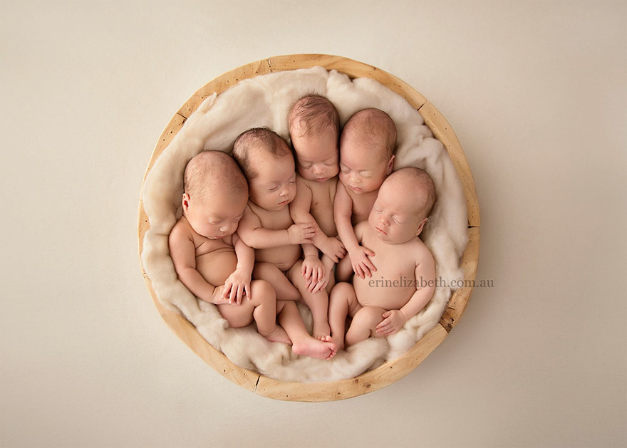 newborn-baby-photoshoot-quintuplets-kim-tucci-erin-elizabeth-hoskins-6